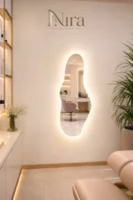 Nira Full body mirror With LED